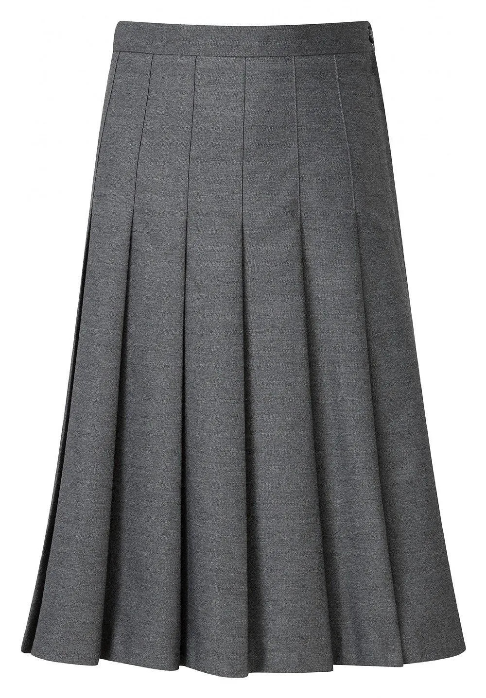 Aspire Pleated Skirt