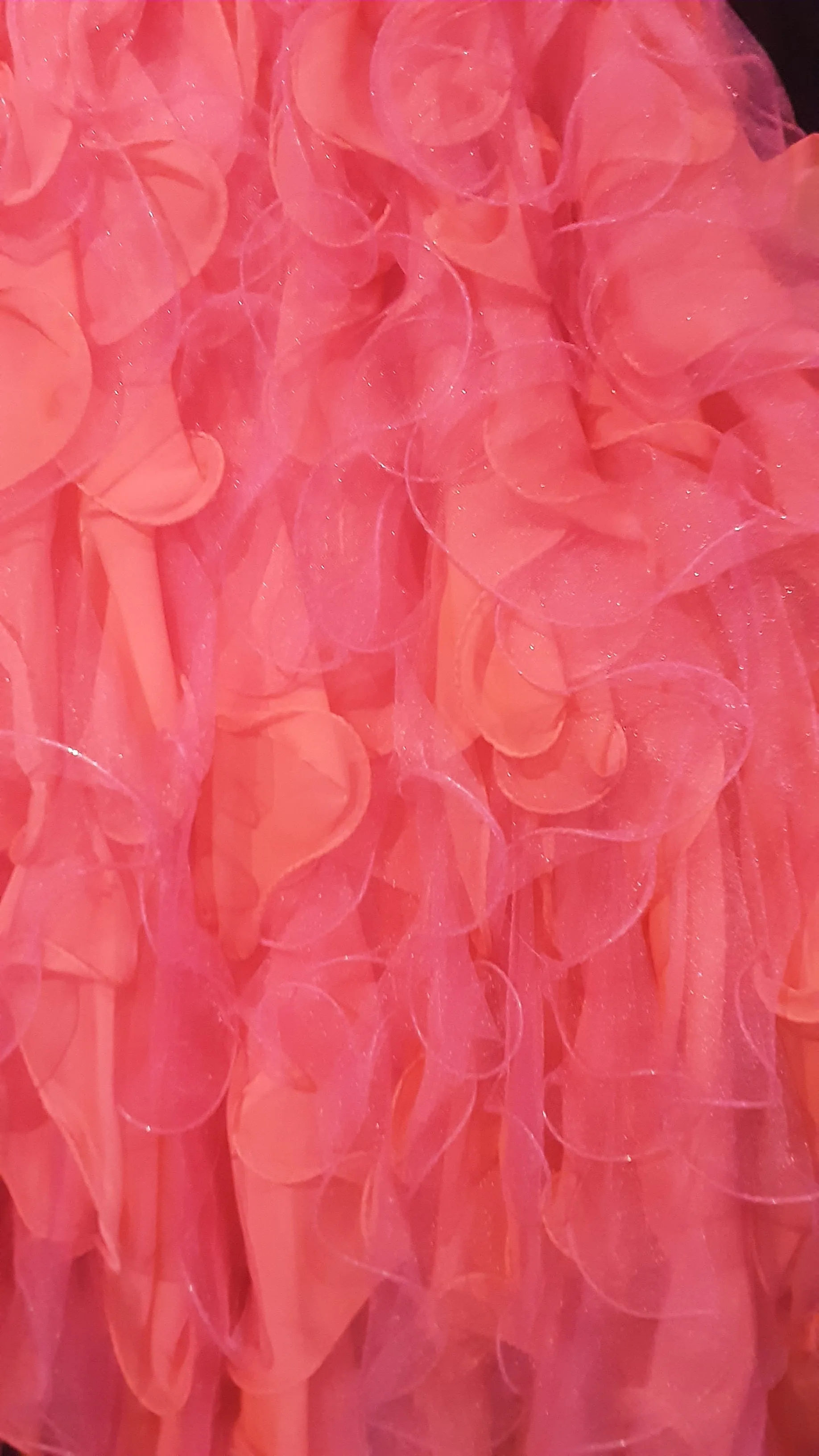 Hot Pink Ruffled Ballgown with Illusion Neckline | Tiffany Size 6 | Last one