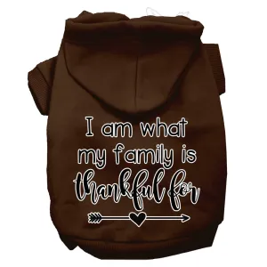 I Am What My Family Is Thankful For Screen Print Dog Hoodie Brown Xs