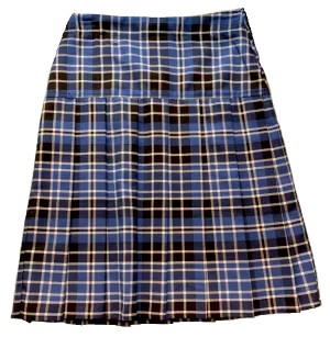 Lord Lawson Of Beamish Academy Pleated Skirt
