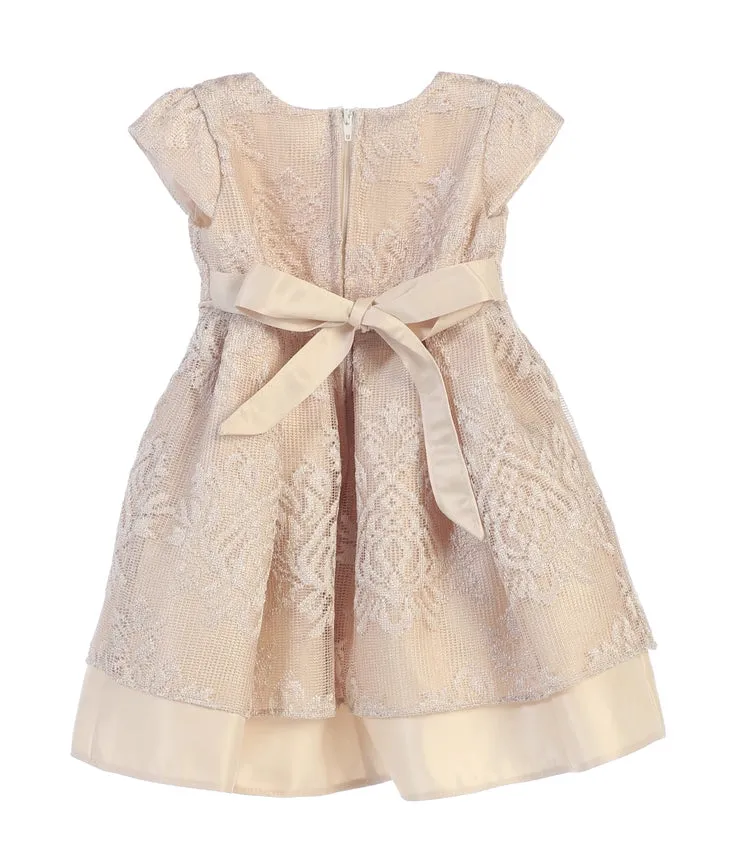 Soft Vintage Lace with Satin Baby Girl Dress